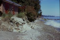 View north along the beach